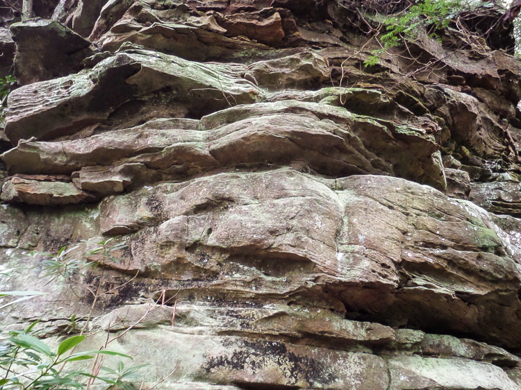 Sandstone outcrop